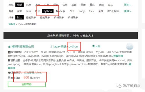 Python编程赚钱指南 从零开始的月入过万路径与软件外包实践