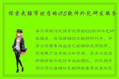 探索武强市优质的iOS软件外包研发服务